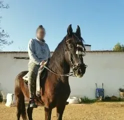 Carlijn, 31